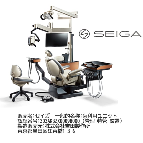 1_ SEIGA
