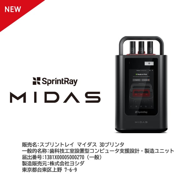 6_ マイダス
