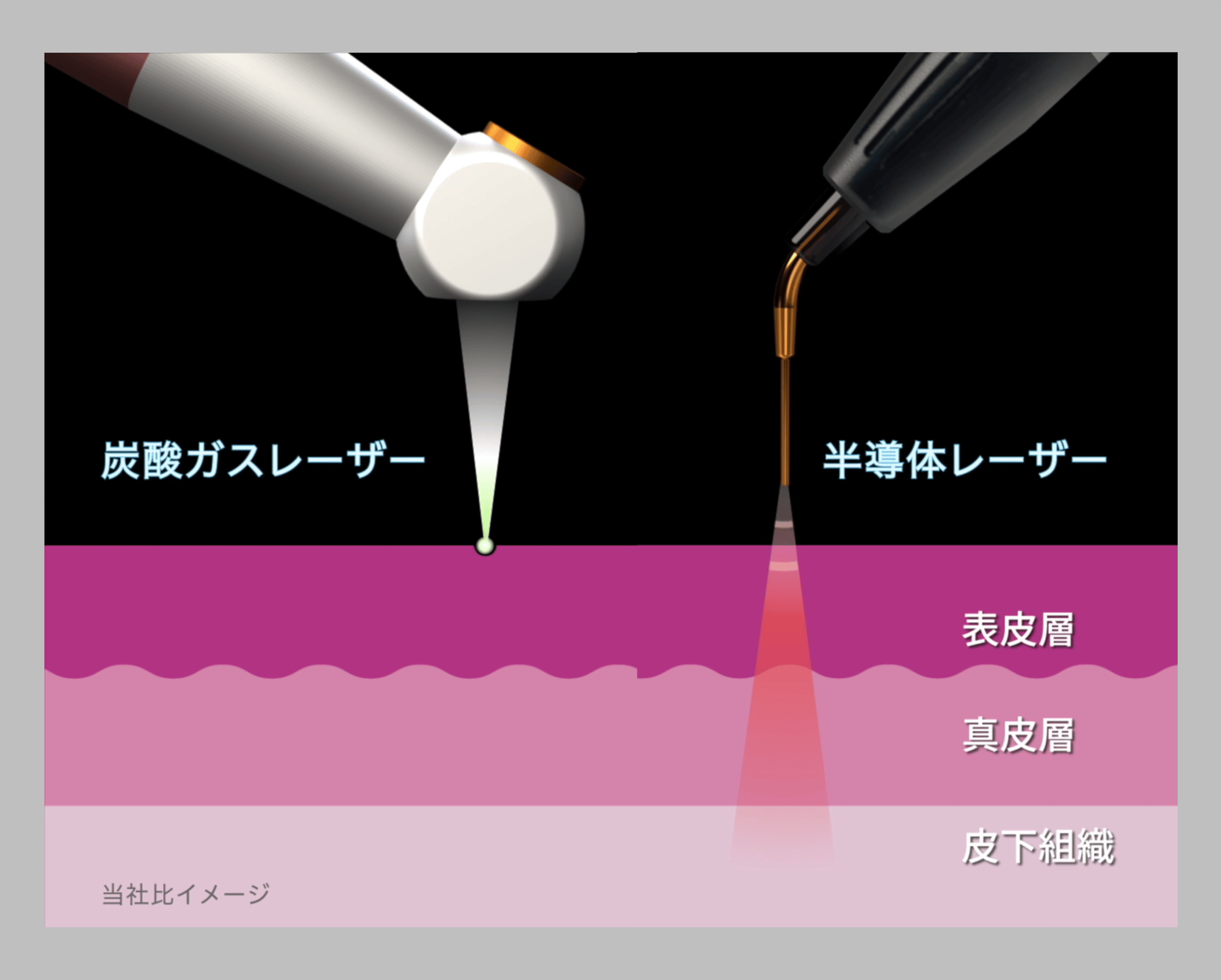 特長を活かす 特長を活かす