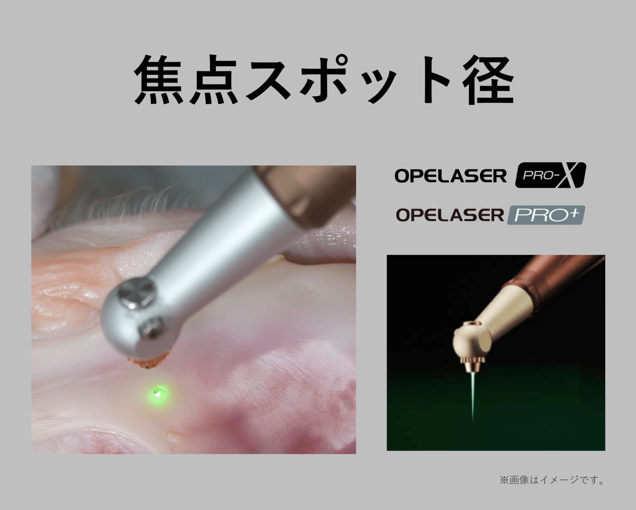 焦点スポット